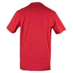 Mick Schumacher T-Shirt Champion 2020 -Dash Racegear Sales MickSchumacherT ShirtChampion2020 4